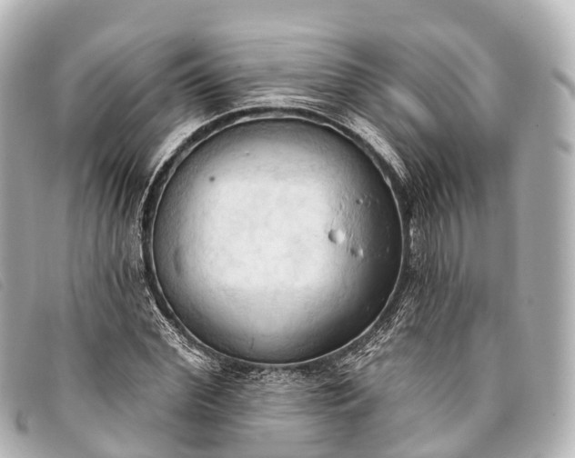 X0000093380972200710251213