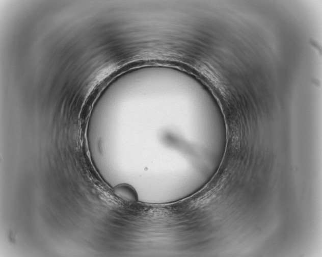 X0000093380974200710251213