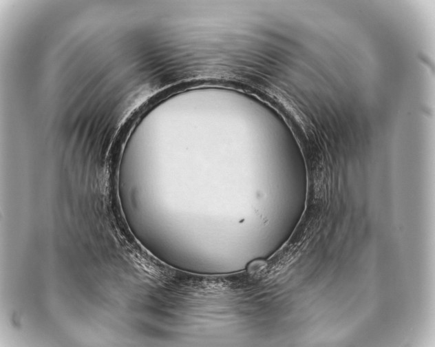 X0000093380975200710251213