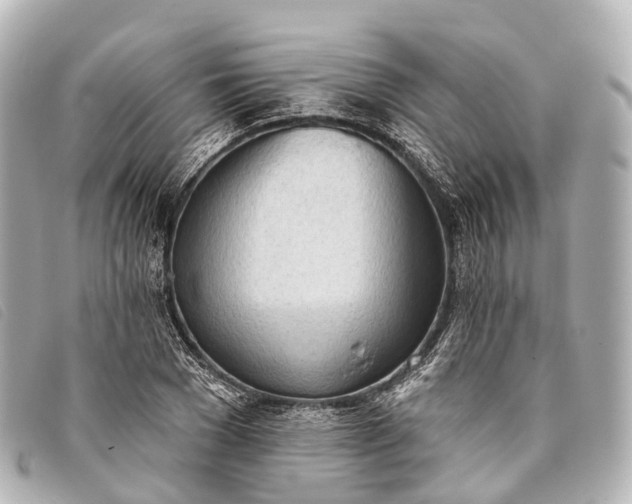 X0000093380977200710251213