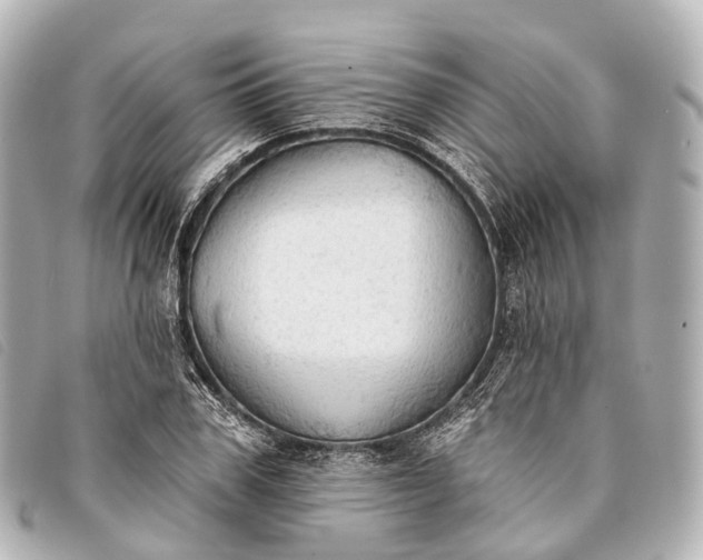 X0000093380979200710251213