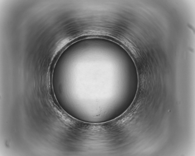 X0000093380982200710251212