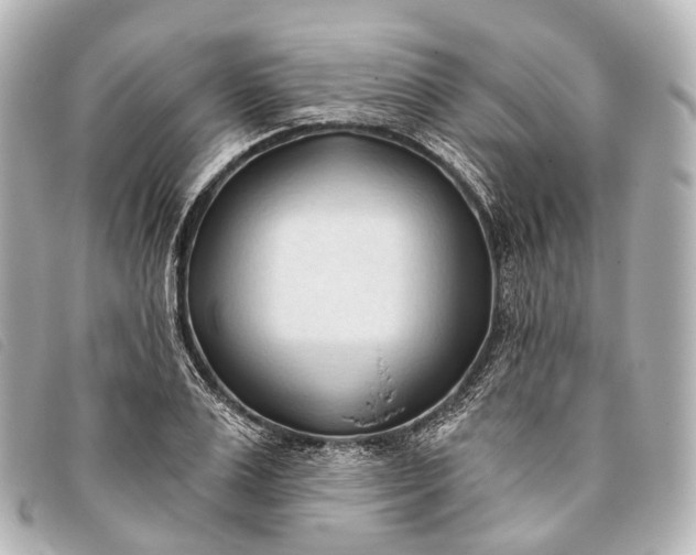 X0000093380983200710251212