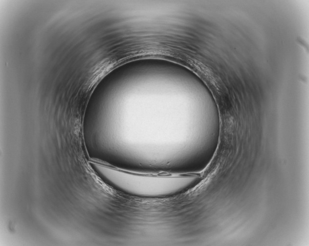 X0000093380985200710251212