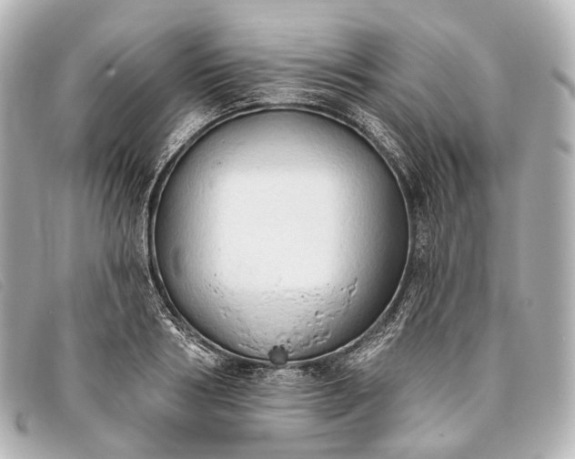 X0000093380986200710251212