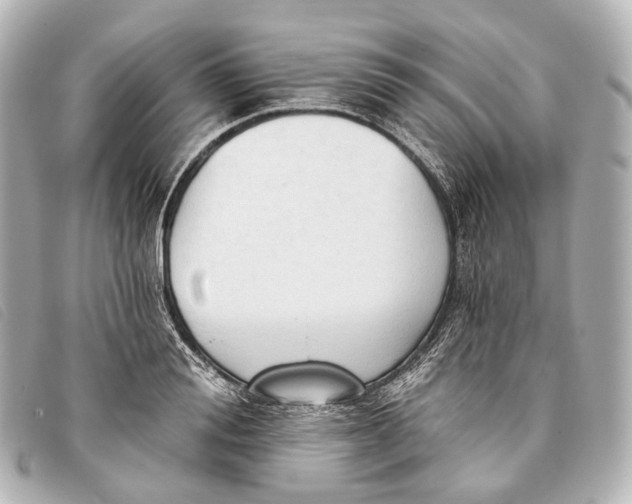 X0000093380988200710251212