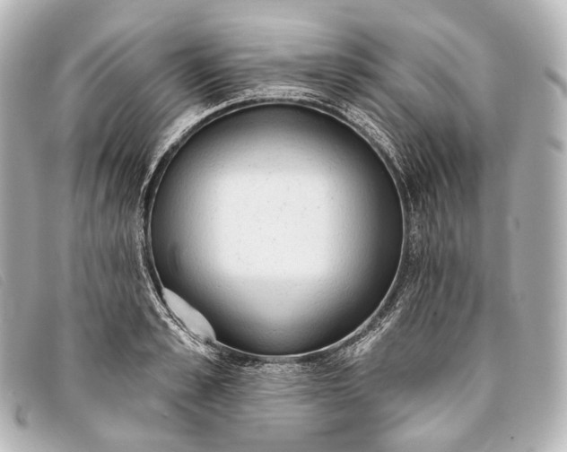 X0000093380989200710251212