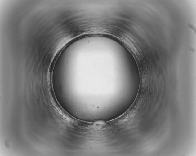 X0000093380990200710251212