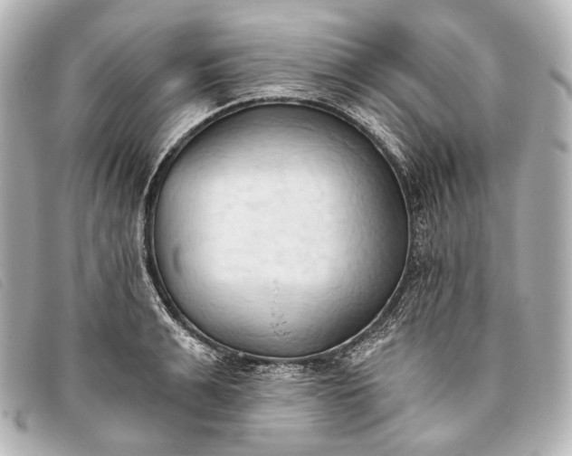 X0000093380991200710251212