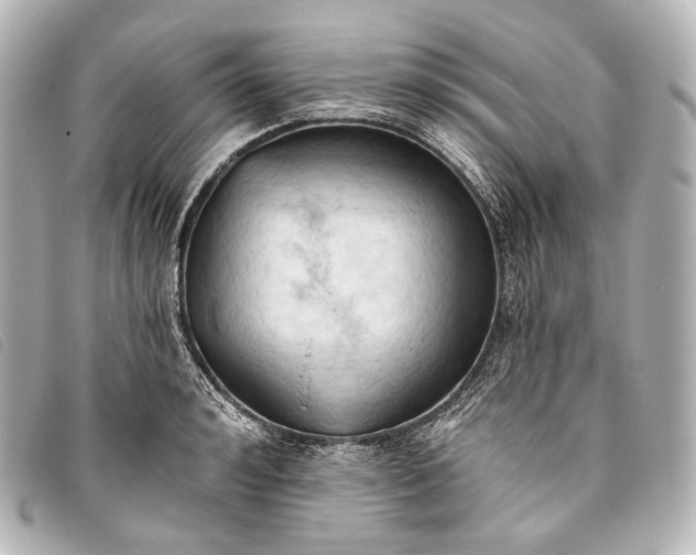 X0000093380992200710251212