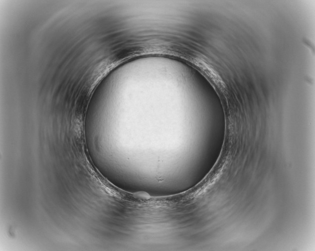 X0000093380993200710251212