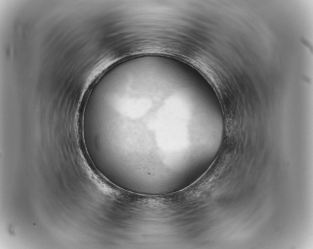 X0000093380995200710251212