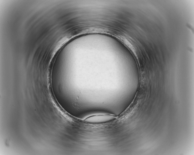 X0000093380997200710251212