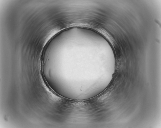 X0000093380999200710251212