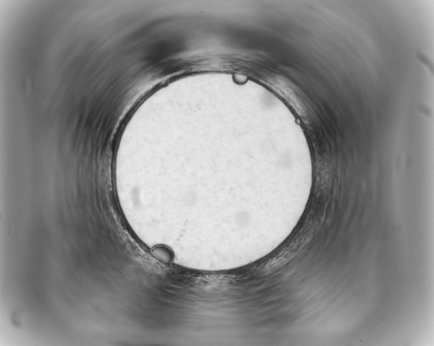 X0000093381000200710251212