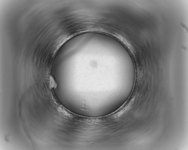 X0000093381001200710251212