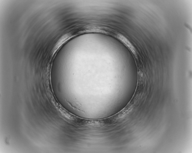 X0000093381002200710251212