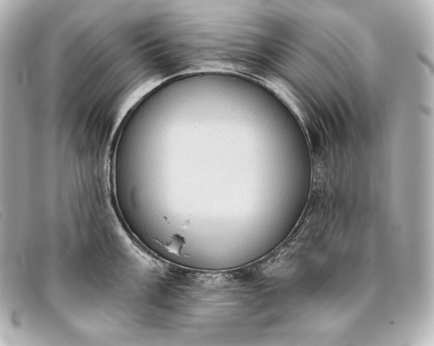 X0000093381003200710251212