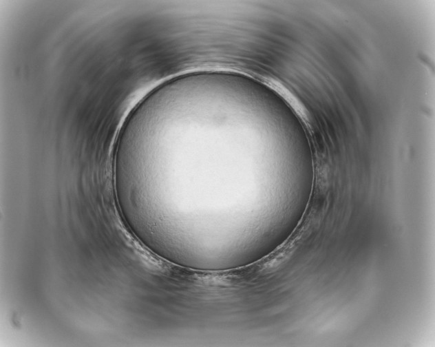 X0000093381004200710251212