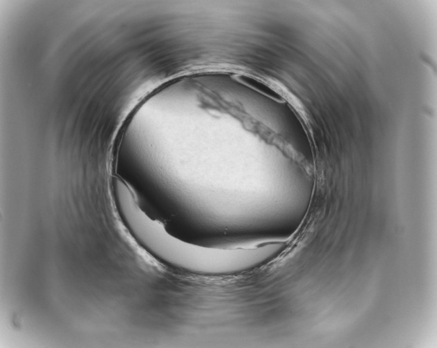 X0000093381005200710251212