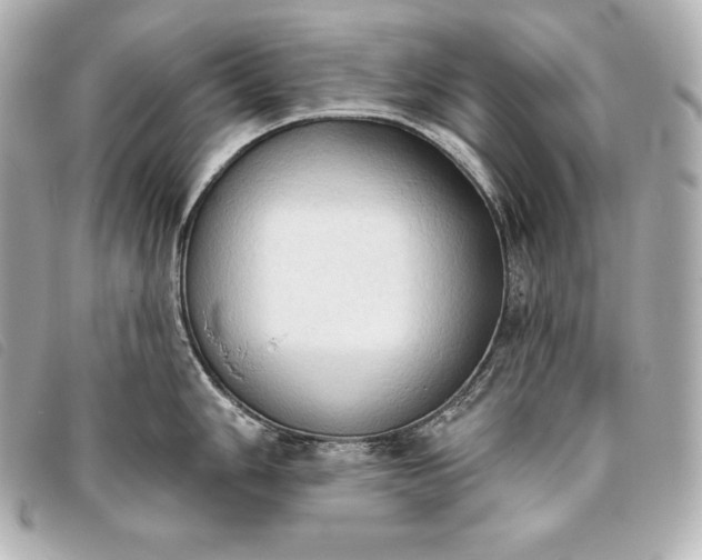 X0000093381006200710251212