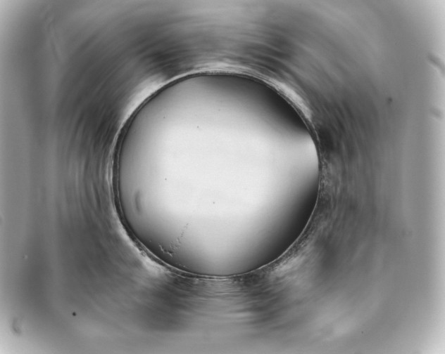 X0000093381007200710251212