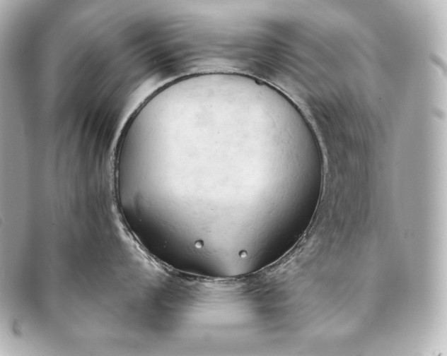 X0000093381008200710251212