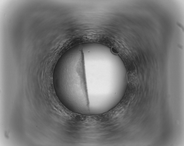 X0000093381009200710251211