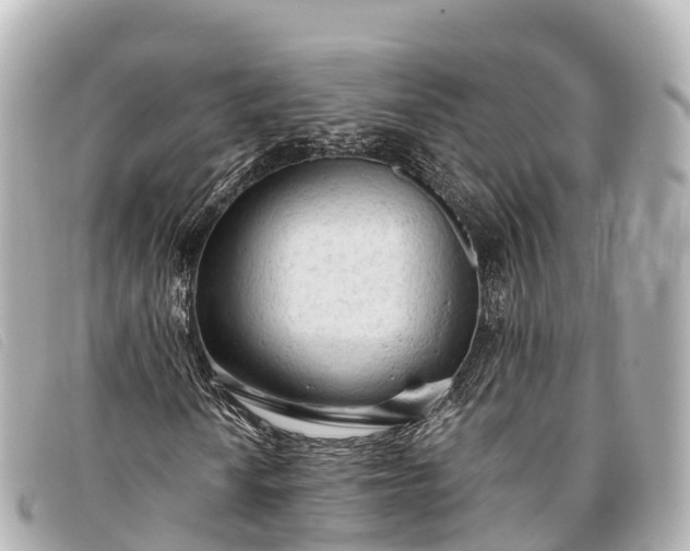 X0000093381010200710251211