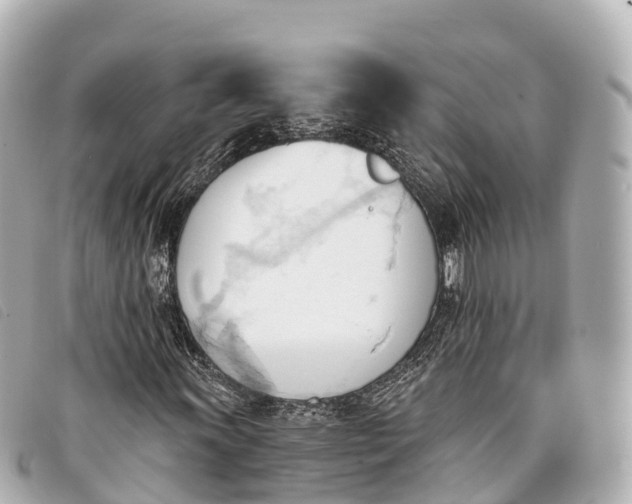 X0000093381011200710251211