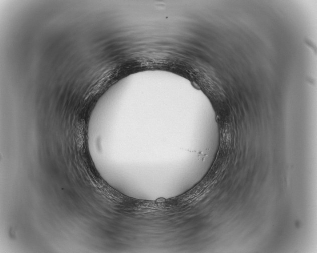 X0000093381012200710251211