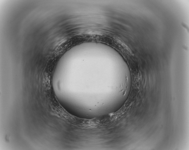 X0000093381013200710251212