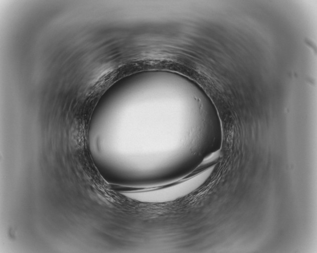 X0000093381014200710251212