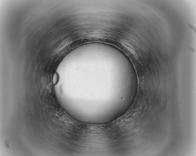 X0000093381015200710251212