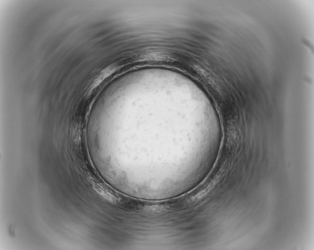 X0000093381017200710251212