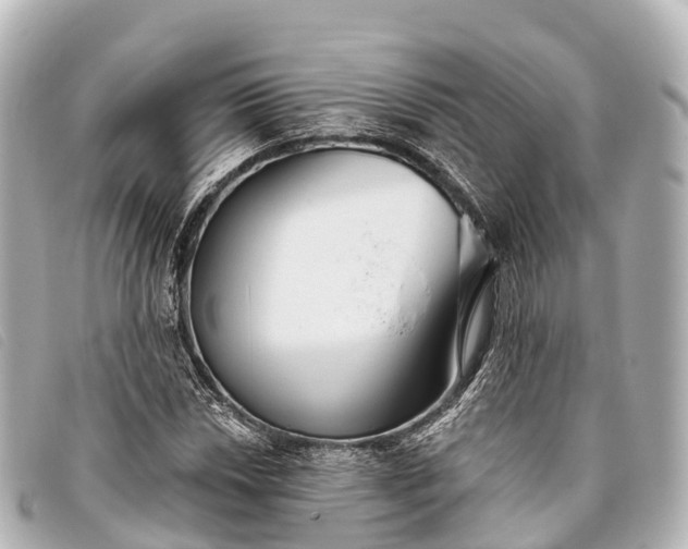 X0000093381018200710251212