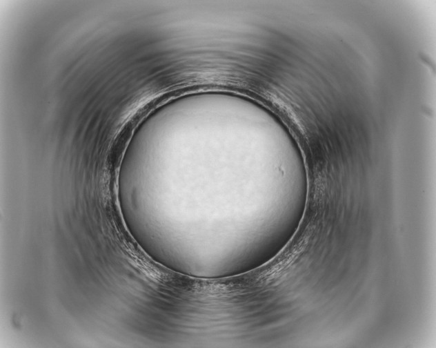 X0000093381019200710251212