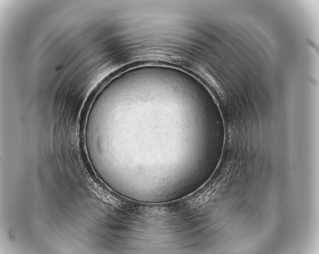 X0000093381020200710251212