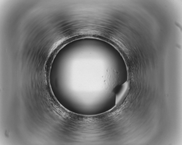 X0000093381022200710251212