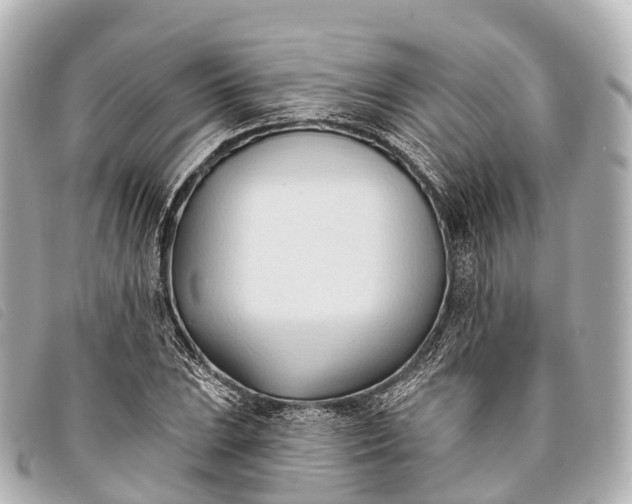 X0000093381023200710251212