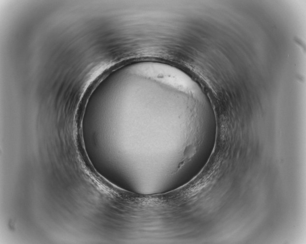 X0000093381024200710251212