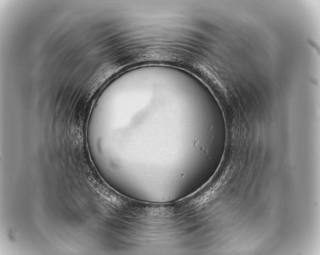 X0000093381025200710251212