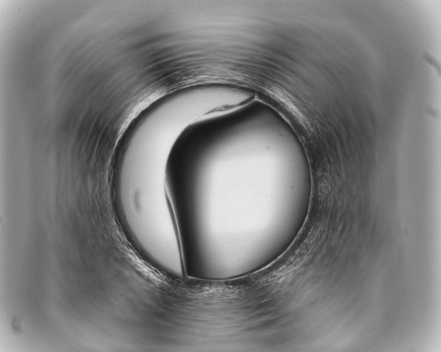 X0000093381026200710251212