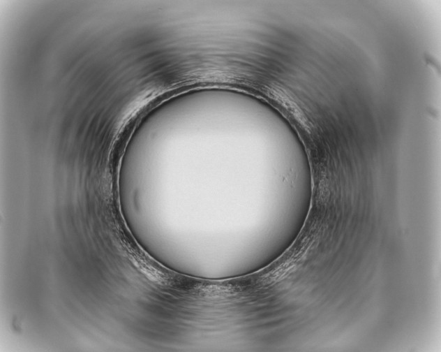 X0000093381027200710251212