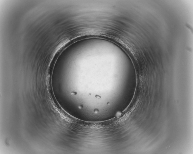 X0000093381029200710251212