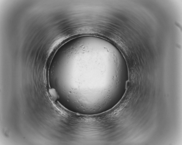 X0000093381030200710251212