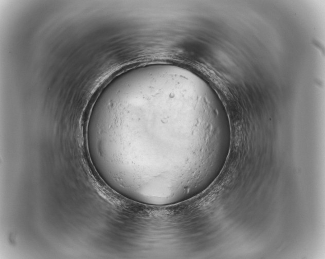 X0000093381031200710251212