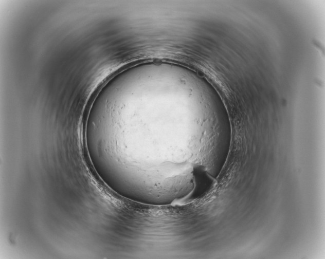 X0000093381032200710251212