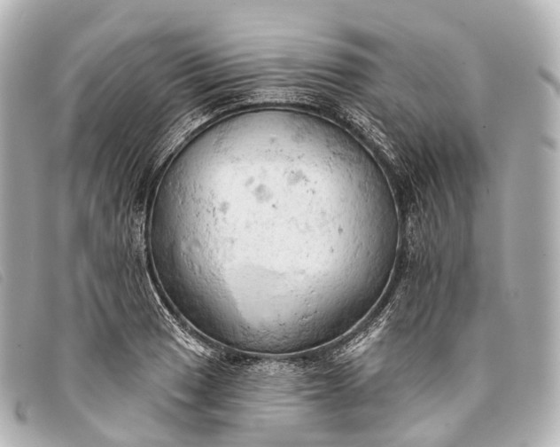 X0000093381033200710251212