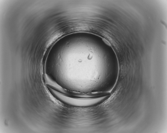 X0000093381034200710251212